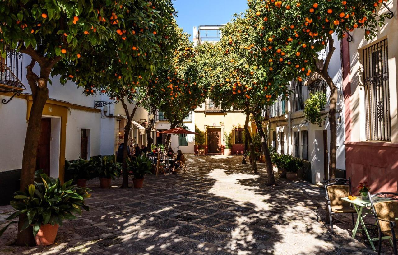 Wish Suite La Mata De Sevilla Экстерьер фото